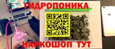 шишки Лесосибирск