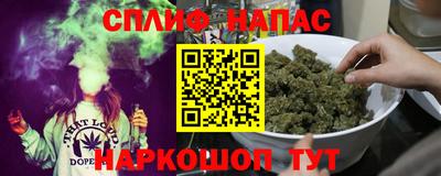 шишки Лесосибирск