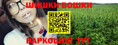 шишки Лесосибирск