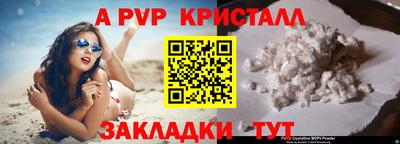 шишки Лесосибирск