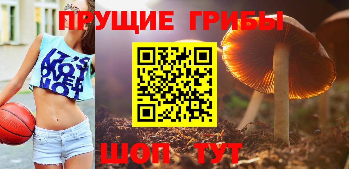 Псилоцибиновые грибы прущие грибы  Галлюциногенные грибы GOLDEN TEACHER  Рославль  Вход с VPN 